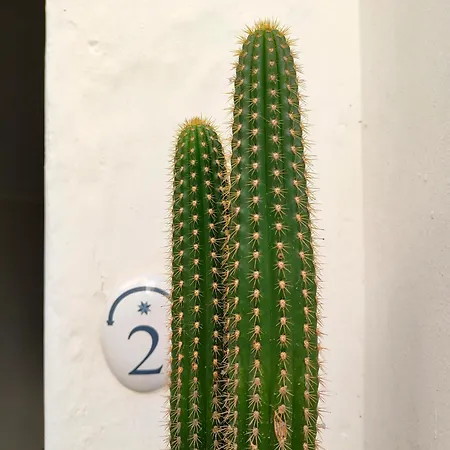 Palazzo Del Capitolo - By I Bastioni San Domenico 4*