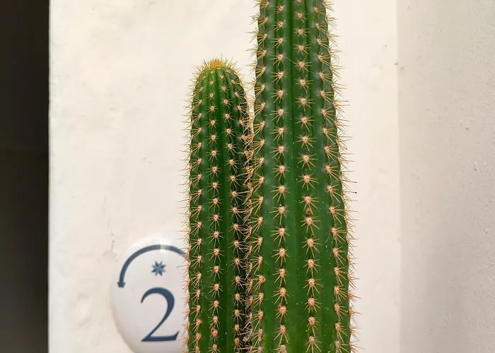 Palazzo Del Capitolo - By I Bastioni San Domenico 3*